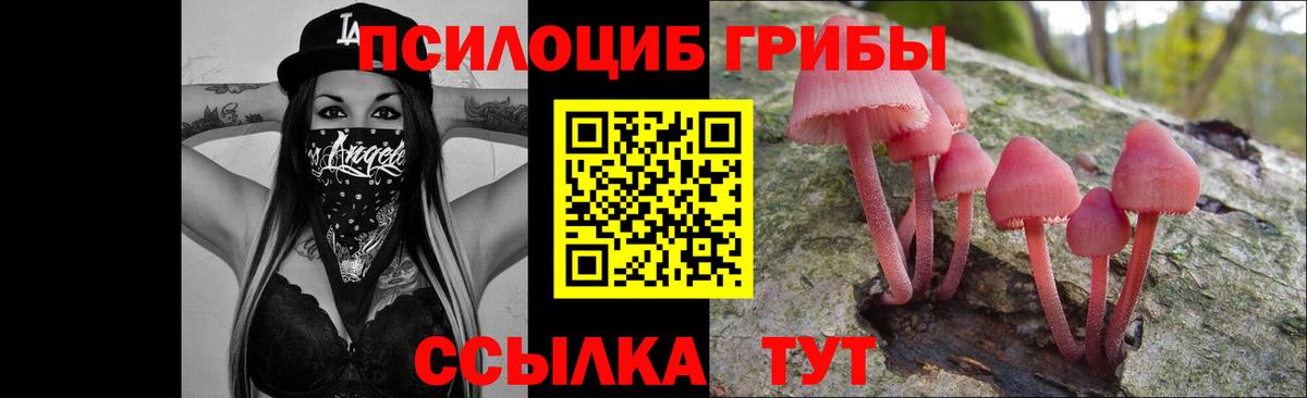 Псилоцибиновые грибы ЛСД Видное